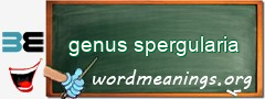WordMeaning blackboard for genus spergularia